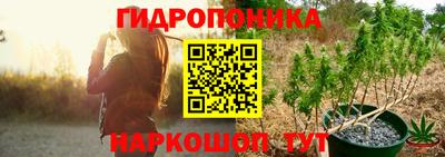 apvp Нальчик