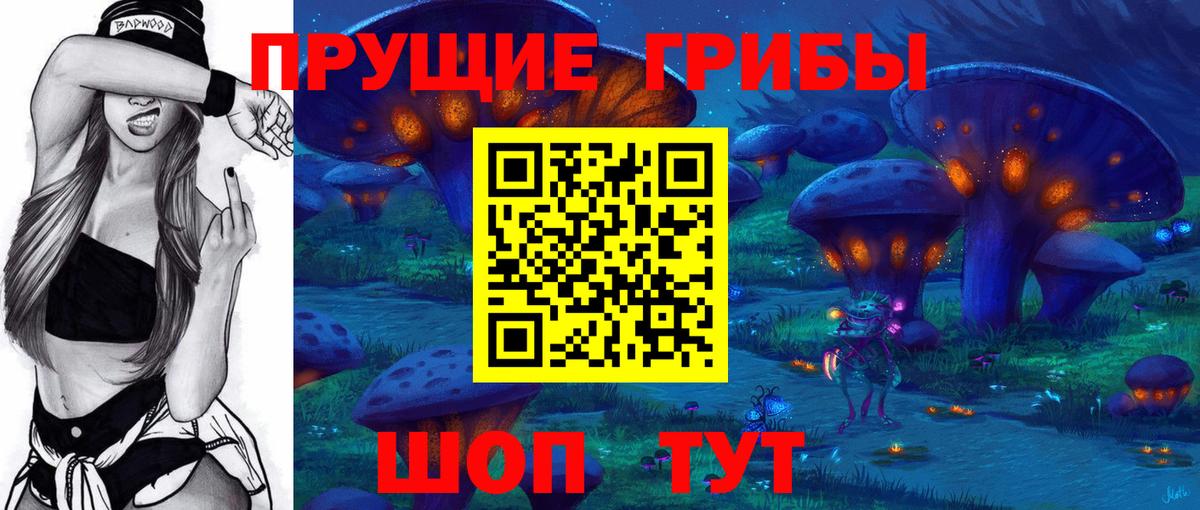 цены   Вход с VPN  Родники  Псилоцибиновые грибы прущие грибы 