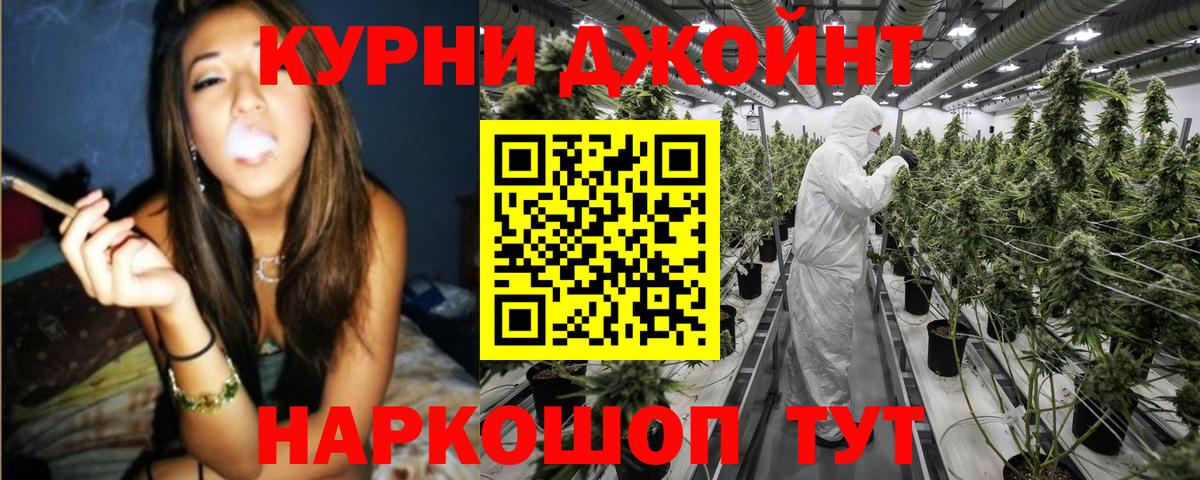 Каннабис Ganja  Марихуана планчик  Шишки марихуана MAZAR  Родники  Вход с VPN 